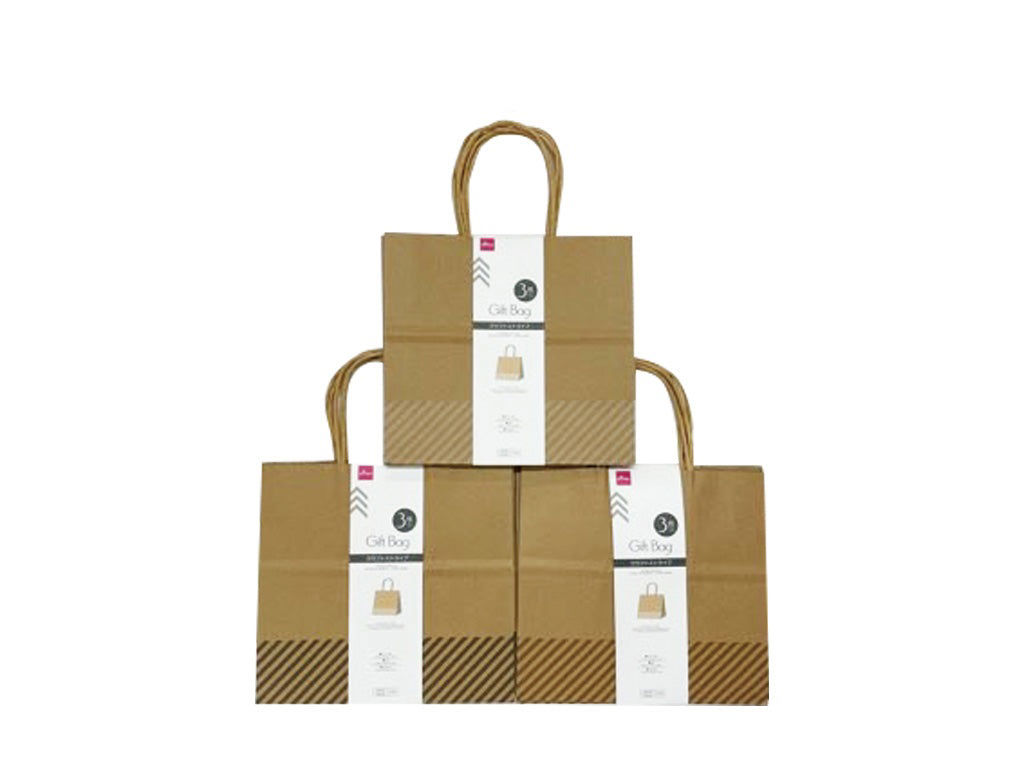 3-Piece Craft Stripe Gift Bags – 21x19.5x11 cm (Approx)