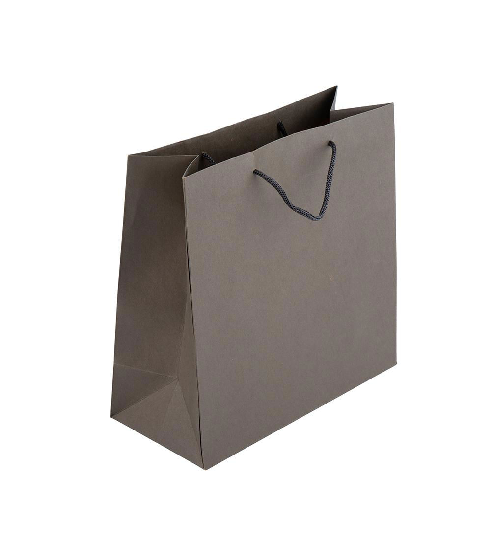GIFT BAG SIMPLE(10.62IN X 10.43IN X 4.72IN-27CM X 26.5CM X 1