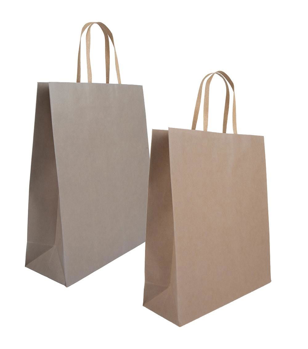 Simple Vertical Gift Bag, Assorted (1 pc) - 27x32x10cm