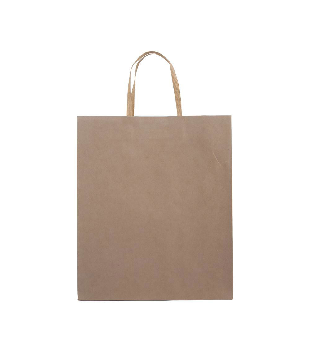 Simple Vertical Gift Bag, Assorted (1 pc) - 27x32x10cm