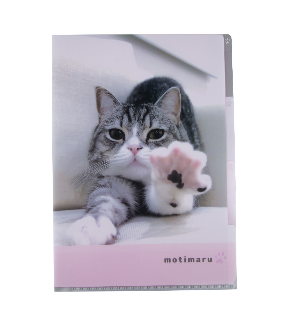 A4 Motimaru Clear Folder with 3 Pockets, Pink