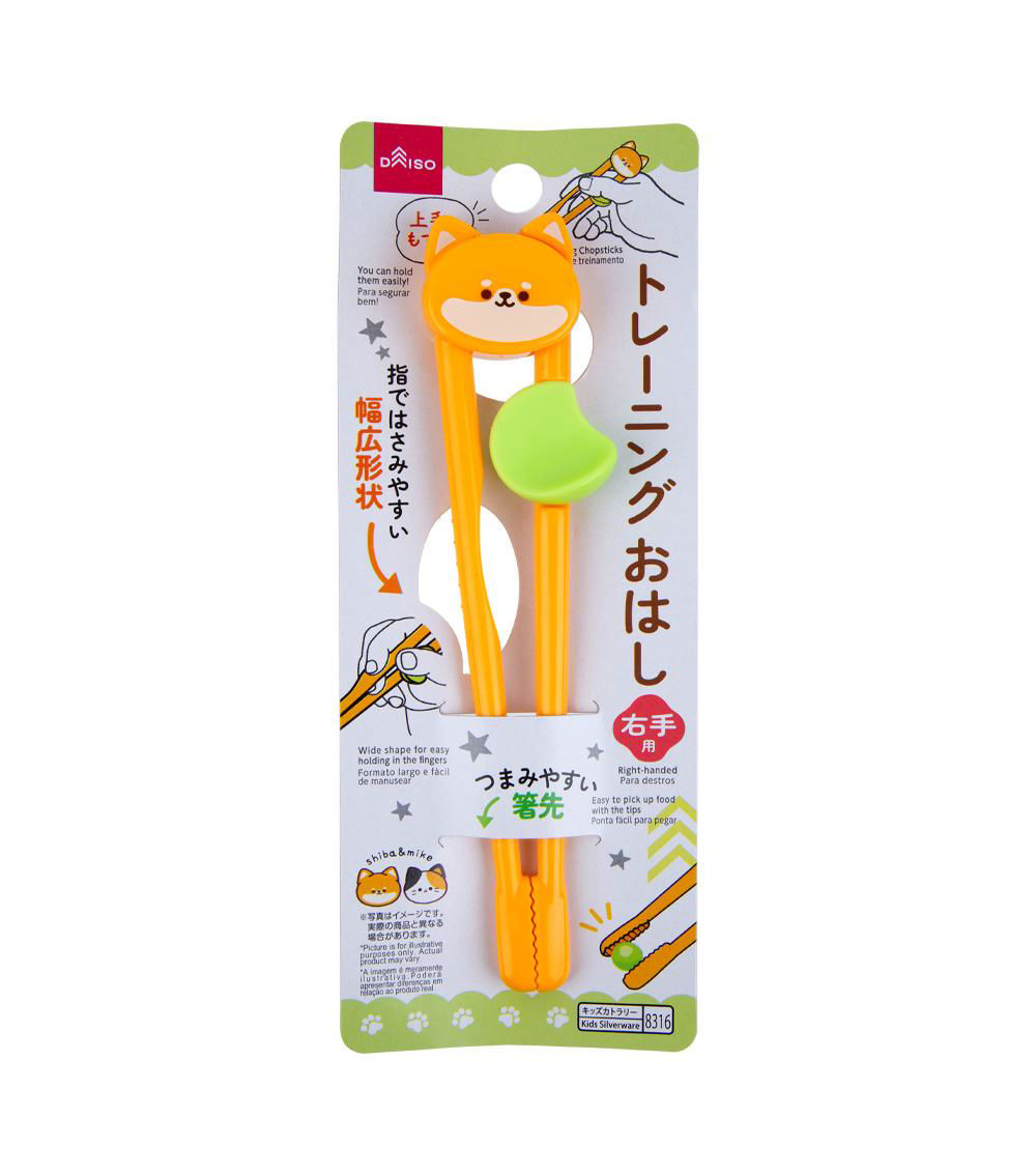 Animal Shape Training Chopsticks, Assorted (1 pc)