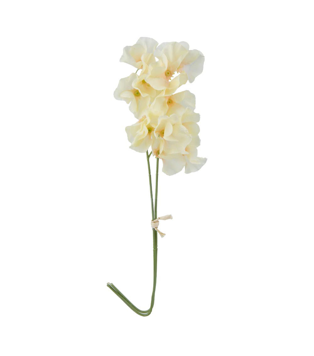 Sweet Pea Flower, Assorted (1 pc)