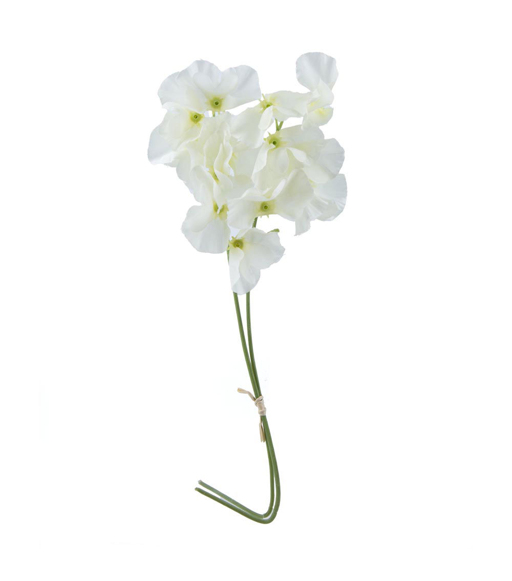 Sweet Pea Flower, Assorted (1 pc)