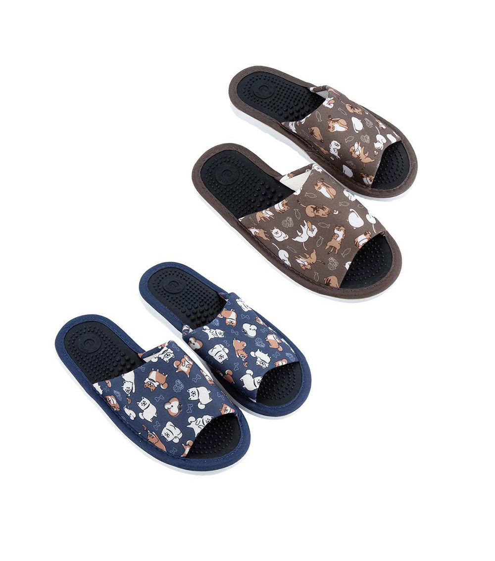 Health Sandals, Assorted (1 pc) - US 7-9 / EU 40-43