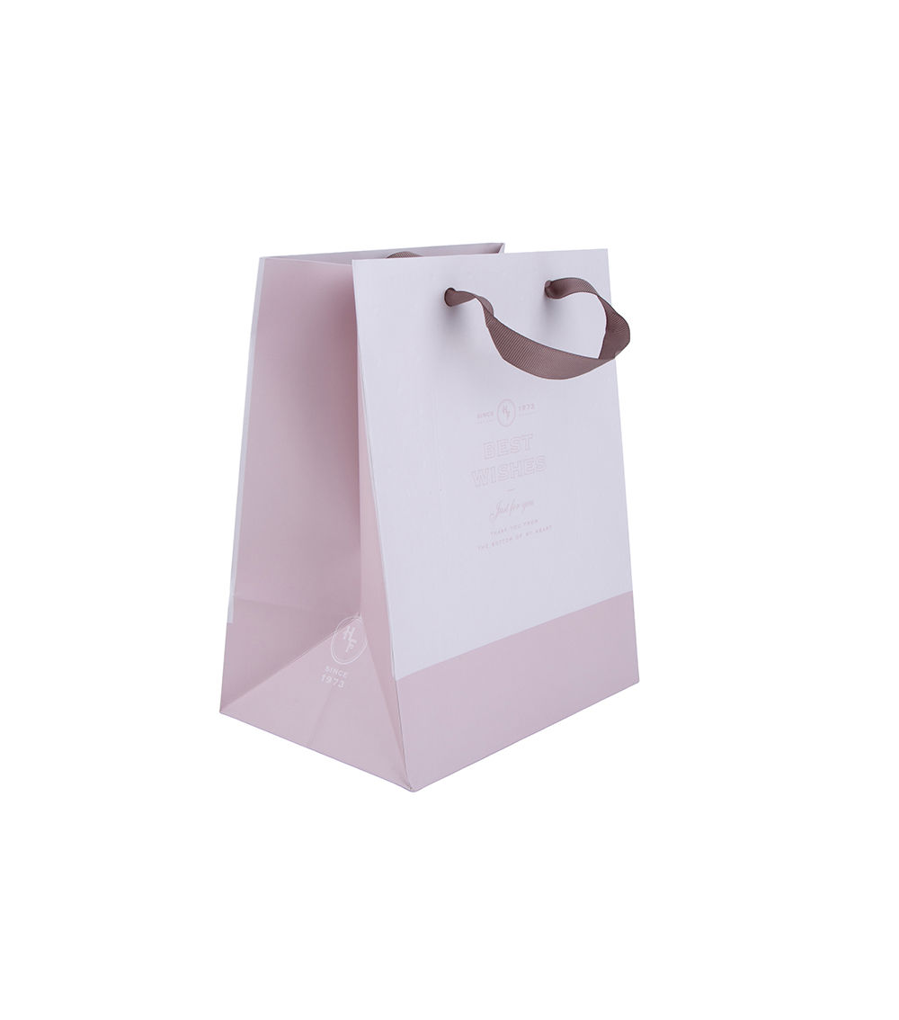 Basic Paper Bag, Assorted (1 pc) -18cm x 23cm x 13cm