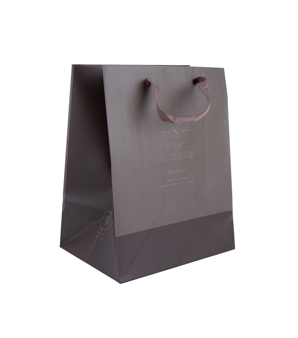 Basic Paper Bag, Assorted (1 pc) -18cm x 23cm x 13cm