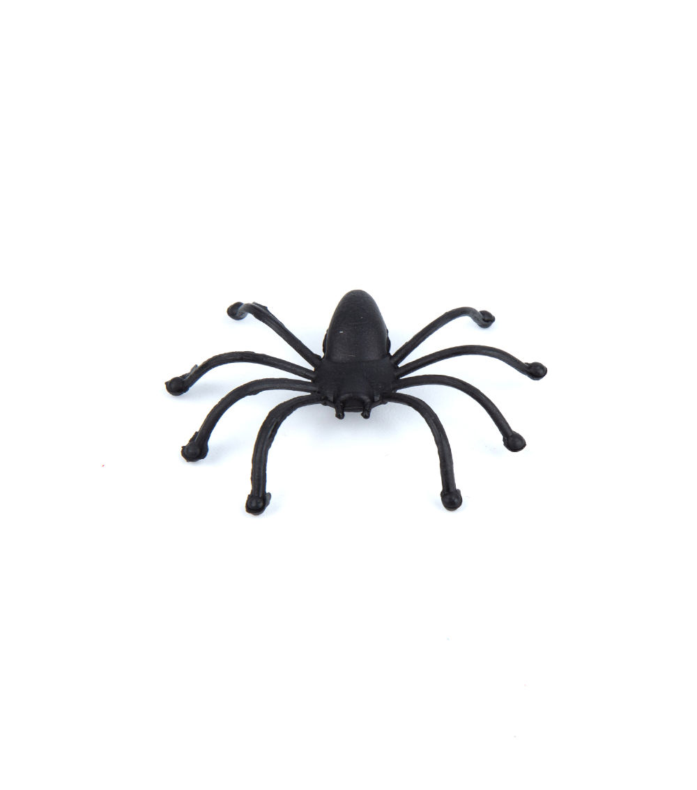 Spider Decoration