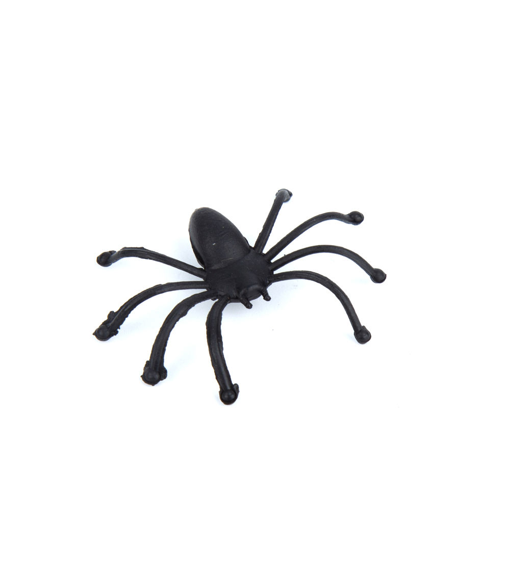 Spider Decoration