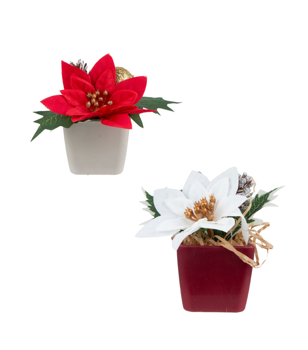 Poinsettia Pot – Assorted (1 pc)