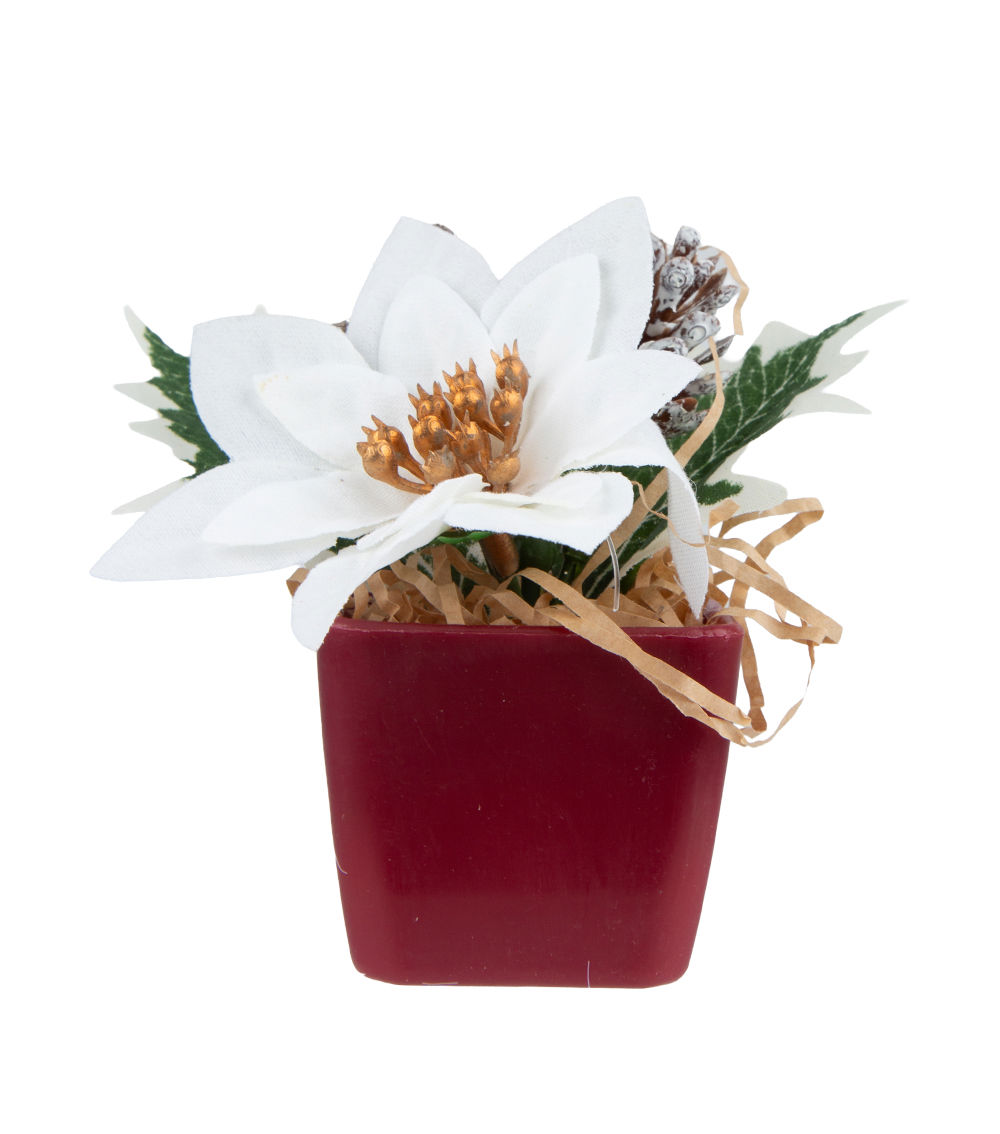 Poinsettia Pot – Assorted (1 pc)