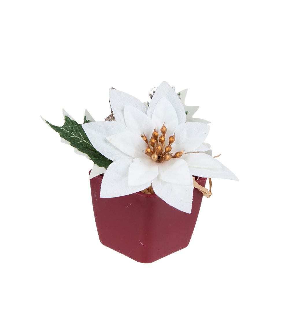 Poinsettia Pot – Assorted (1 pc)