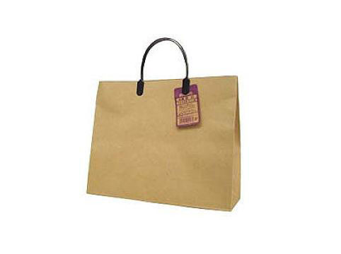 Kraft Paper Bag (Medium, Horizontal Type)