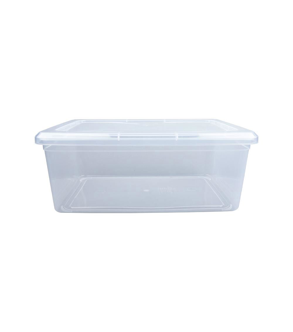 Storage Case with Lid, Clear ( 21.49x31.70x12.29cm)