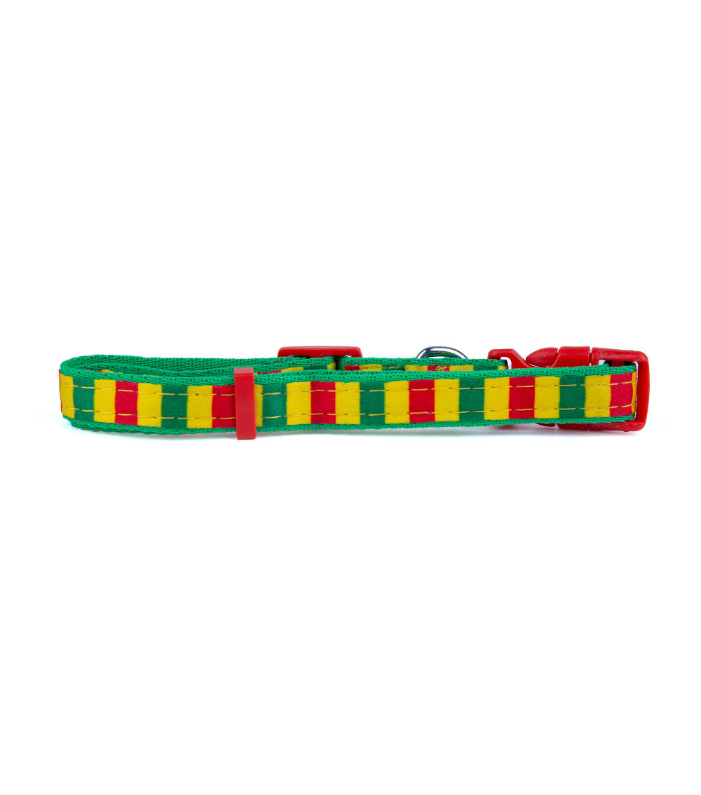 Dog Collar Border Medium – Adjustable Durable Pet Collar