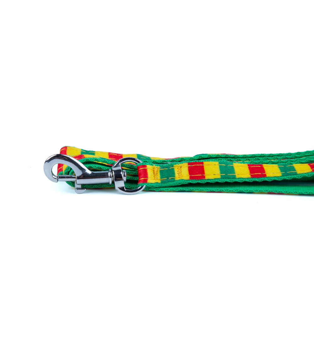 Dog Leash Border Small – Durable Adjustable Pet Walking Lead