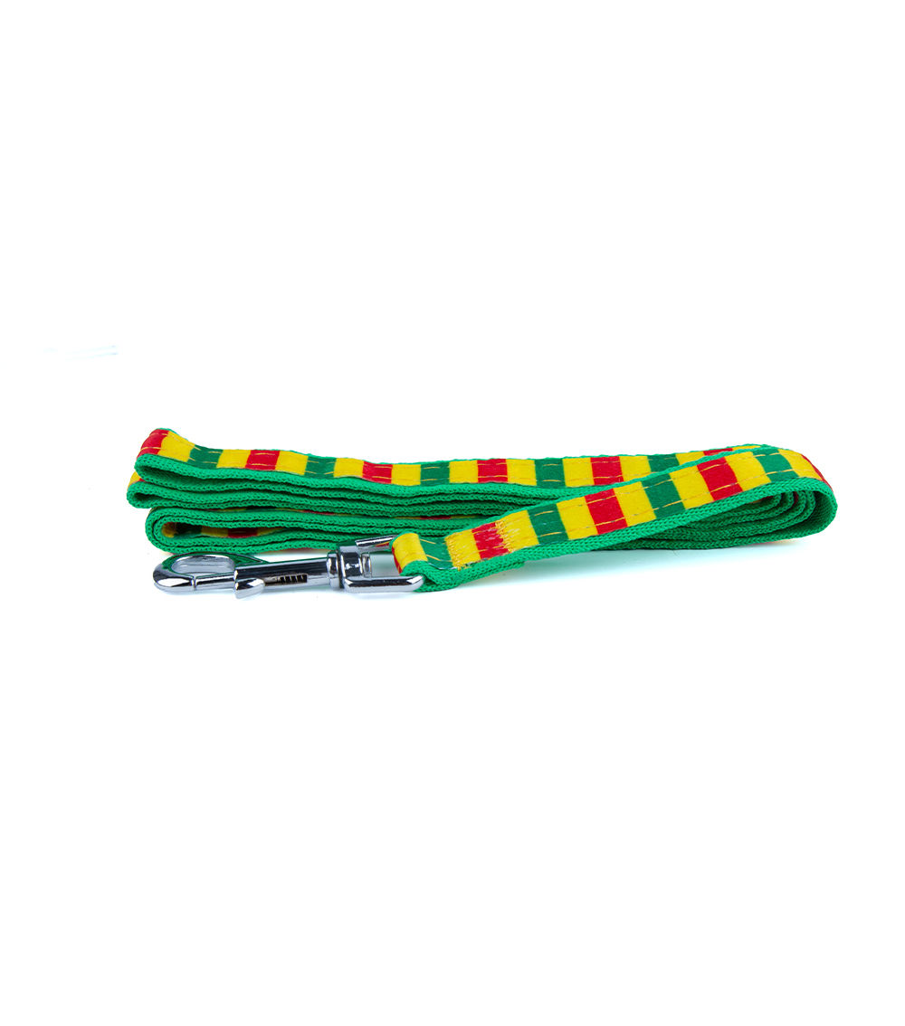 Dog Leash Border Medium – Durable Pet Walking Lead