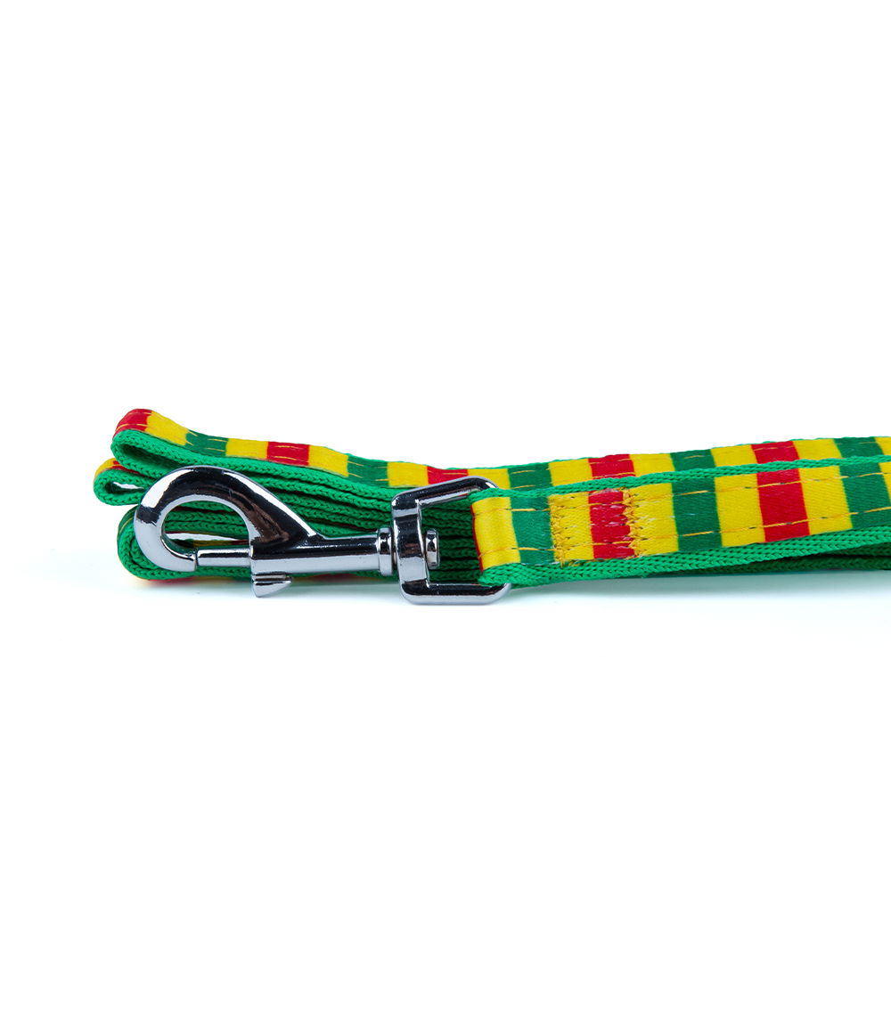 Dog Leash Border Medium – Durable Pet Walking Lead