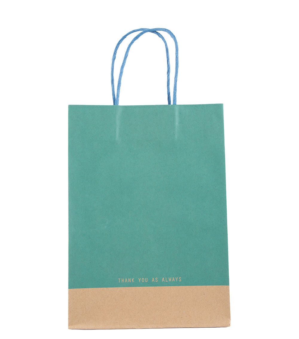 Paper Handle Bag, Assorted (1 pc) - 28cm x 20cm x 12cm