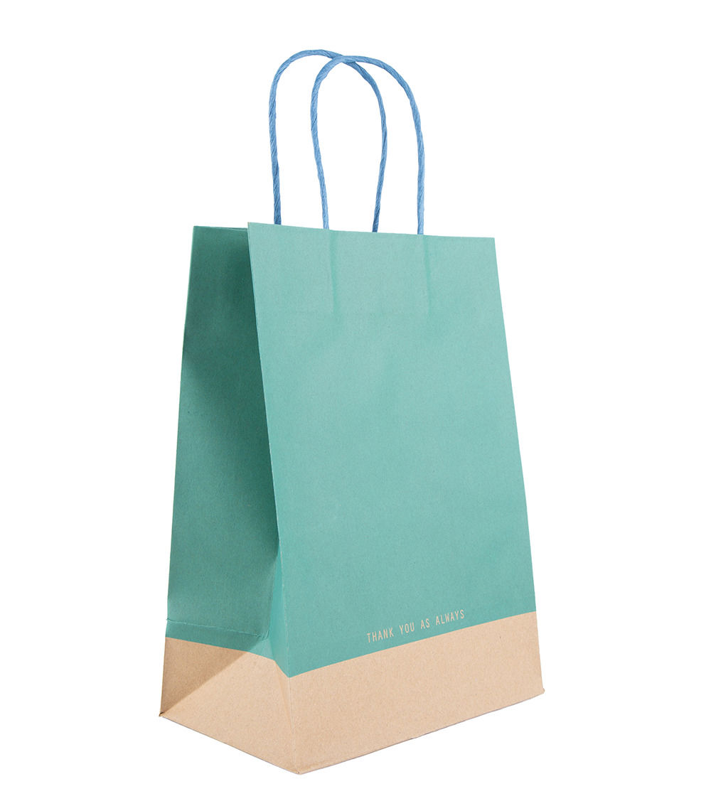 Paper Handle Bag, Assorted (1 pc) - 28cm x 20cm x 12cm