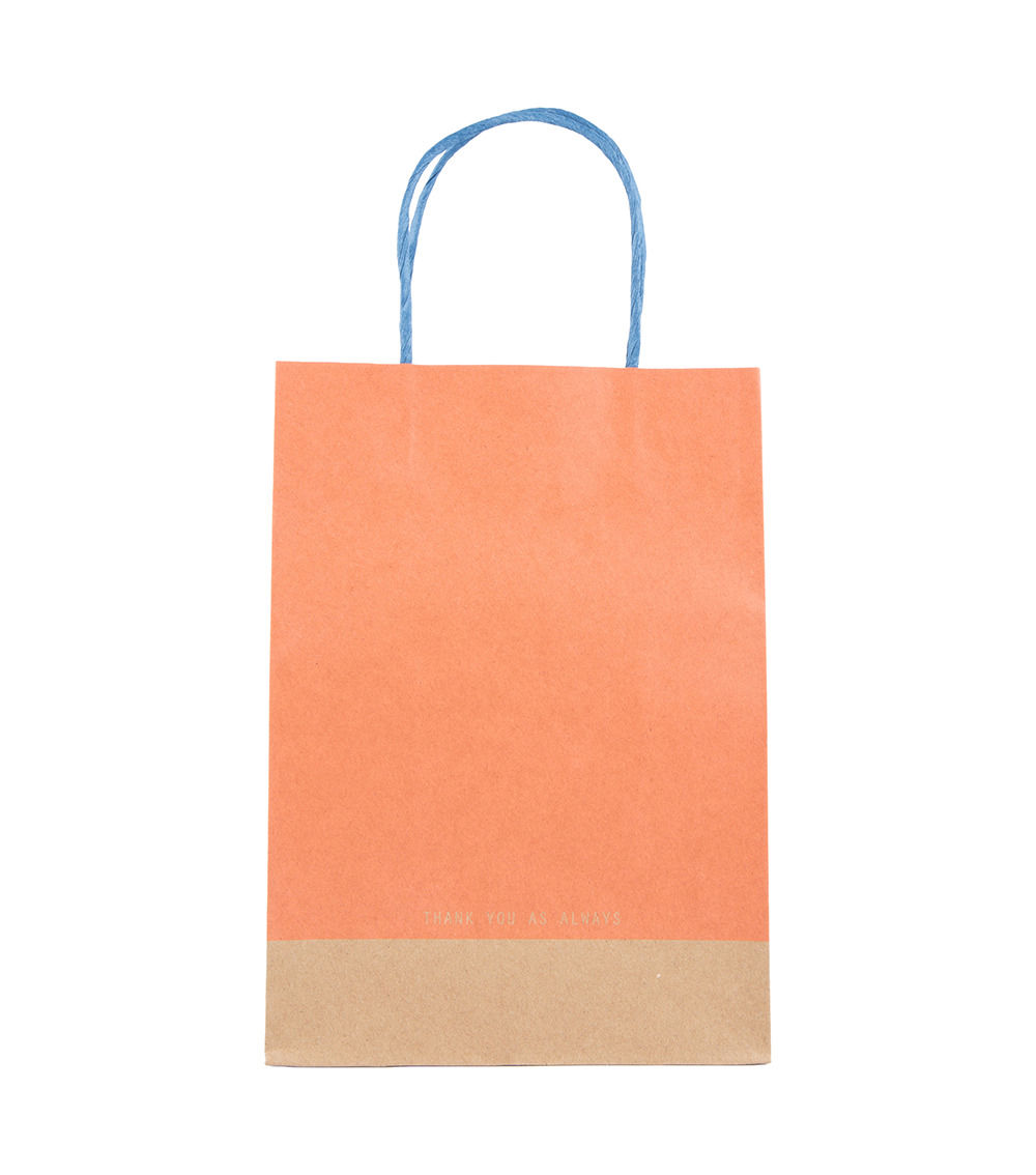 Paper Handle Bag, Assorted (1 pc) - 28cm x 20cm x 12cm