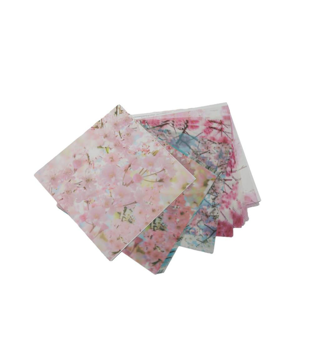 Semi-Transparent Cherry Blossom Photo Chiyogami Paper – 20 S