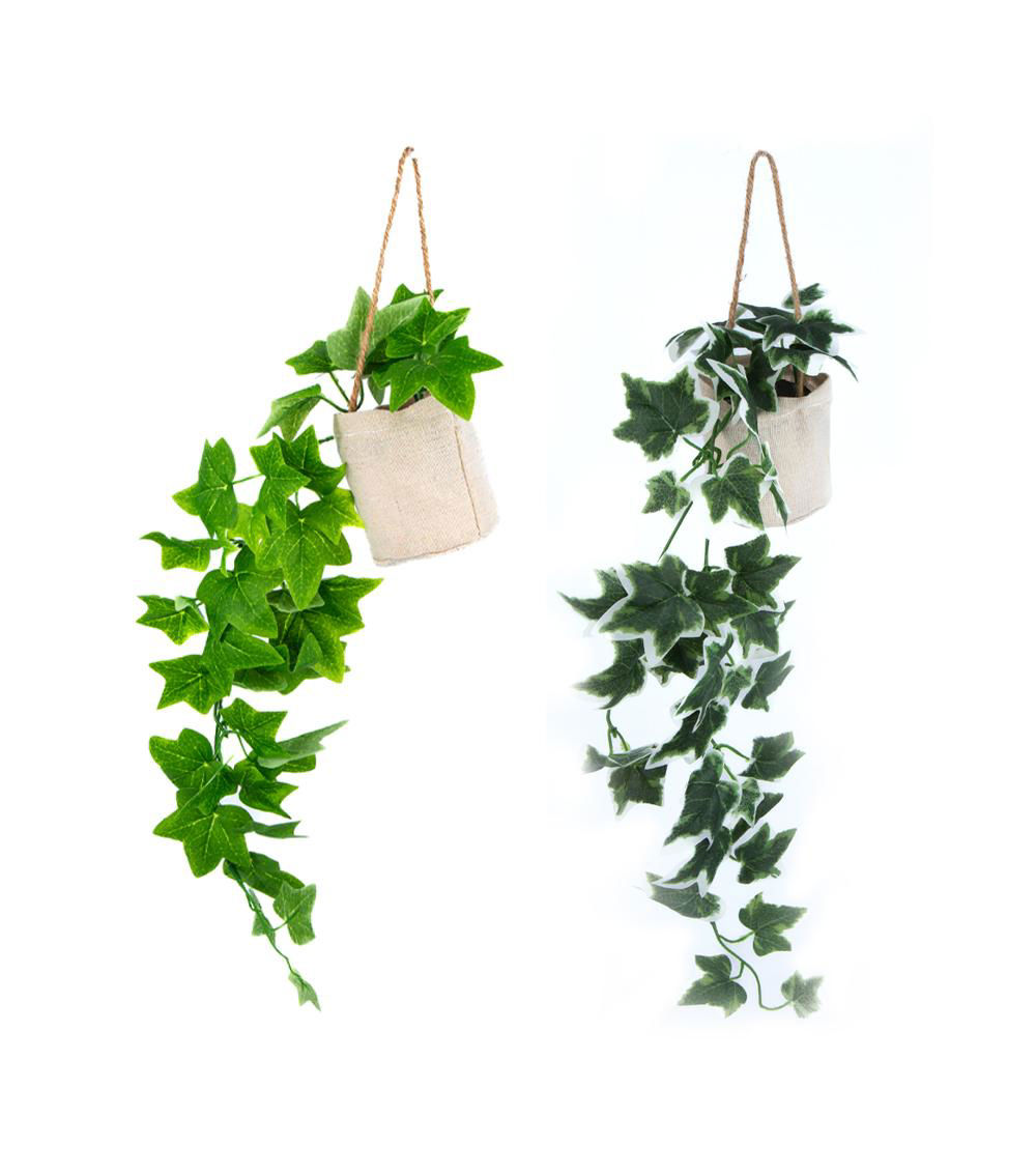 Hanging Pot, Assorted (1 pc)