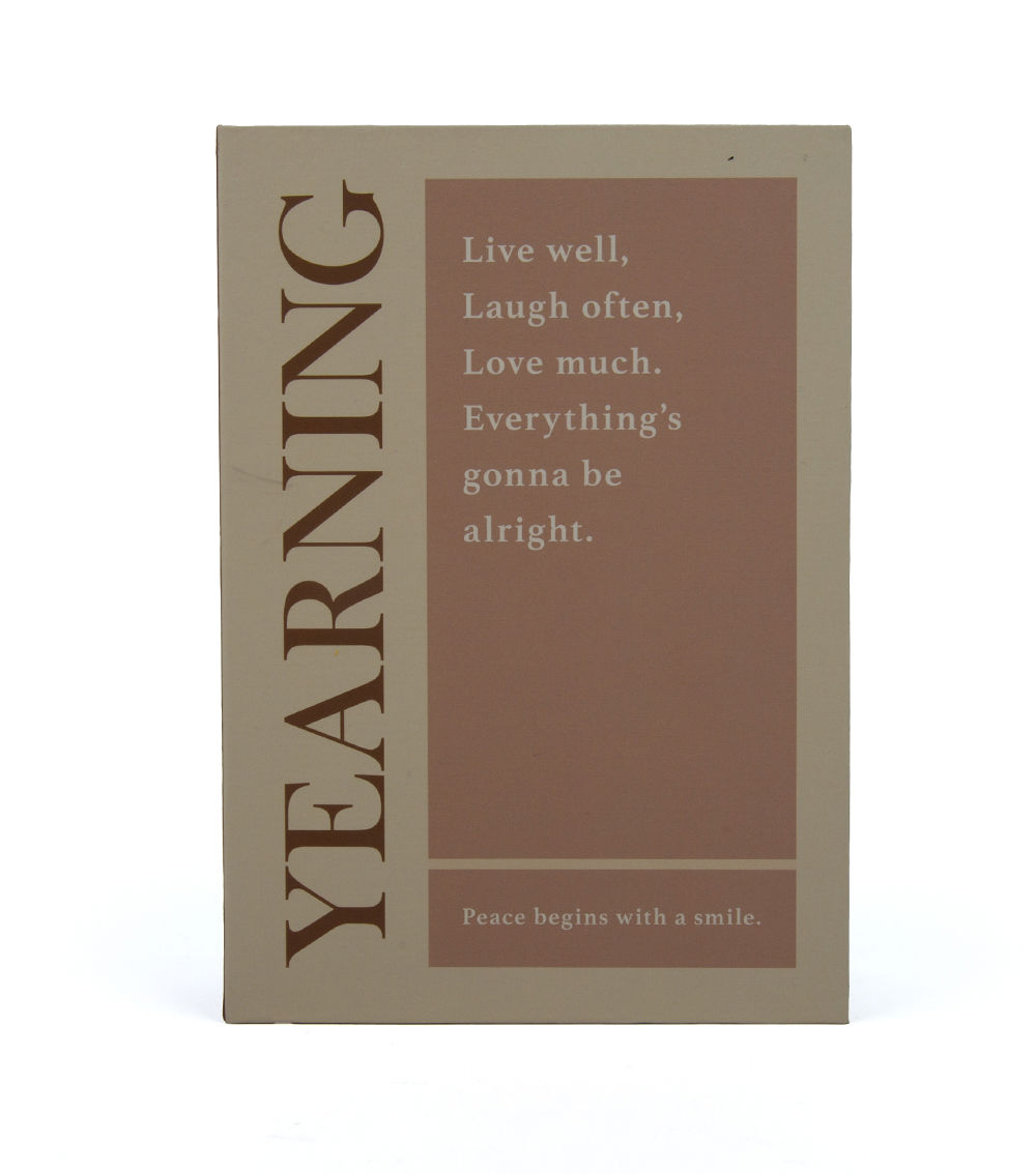 Book-Shaped Storage Box Set, Brown & Beige