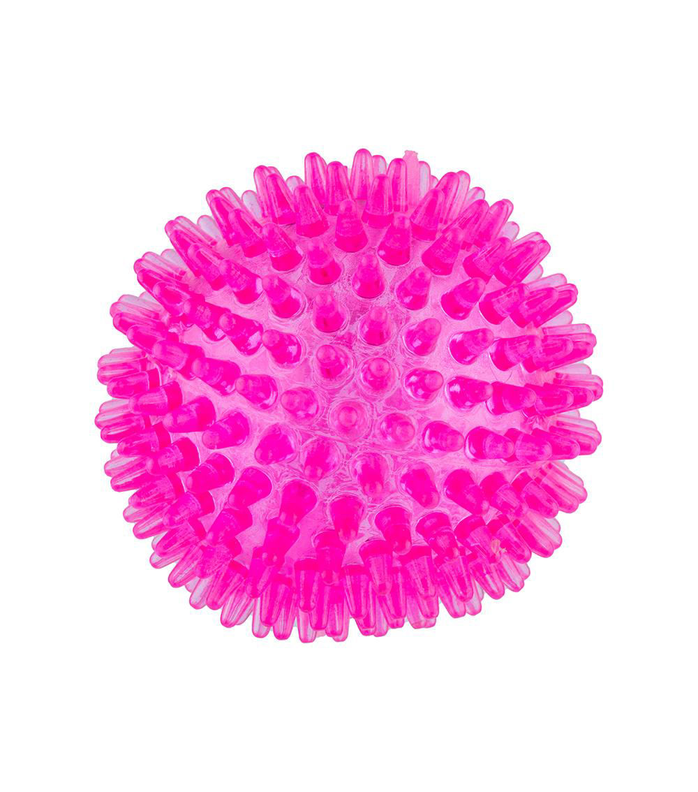 Noise making pet toy bone Ball 2