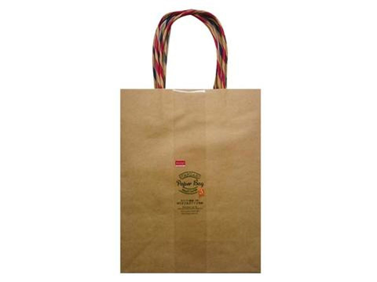Kraft Paper Bag with Dual-Color Handles (Pack of 3, Medium S