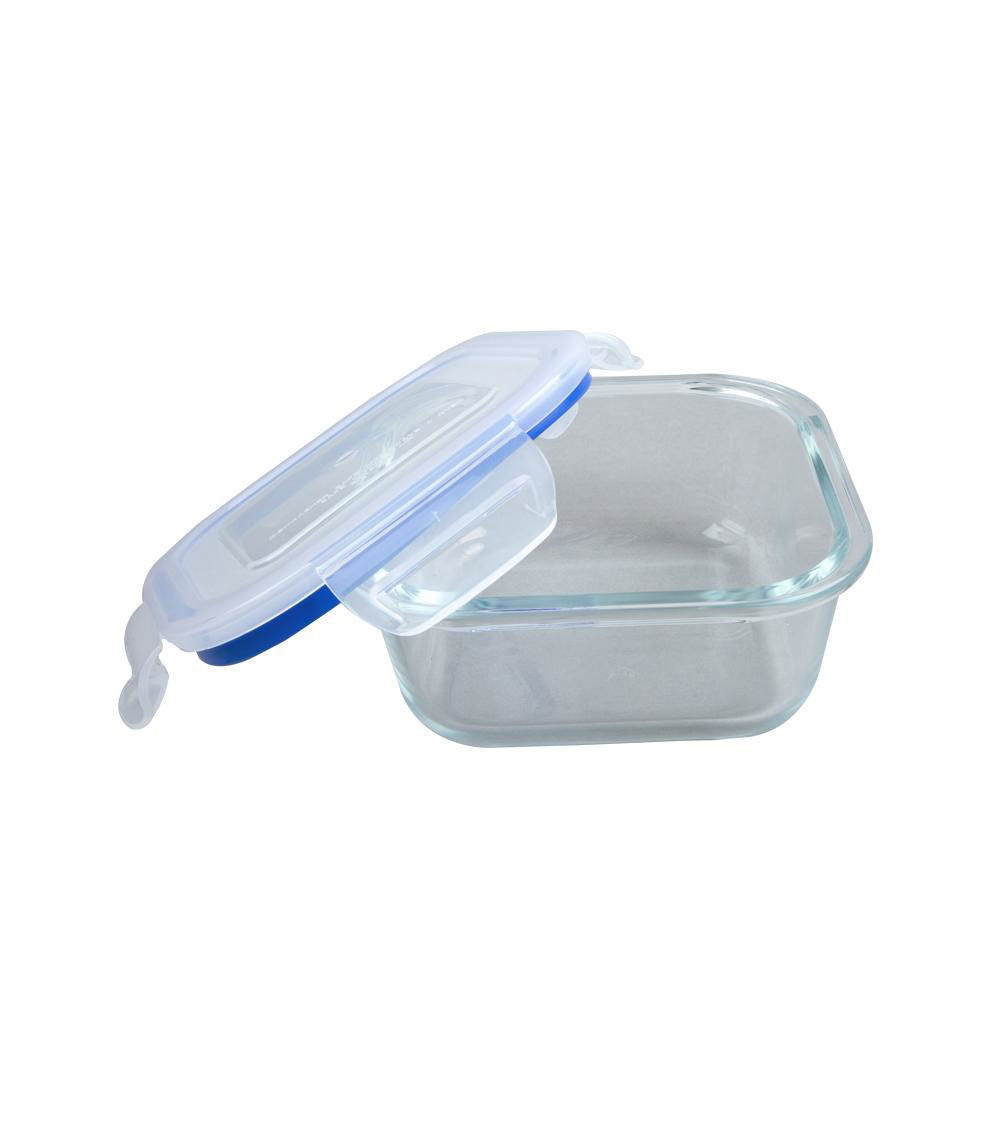 Microwave-Safe Glass Sealed Container, Blue (530 ml)