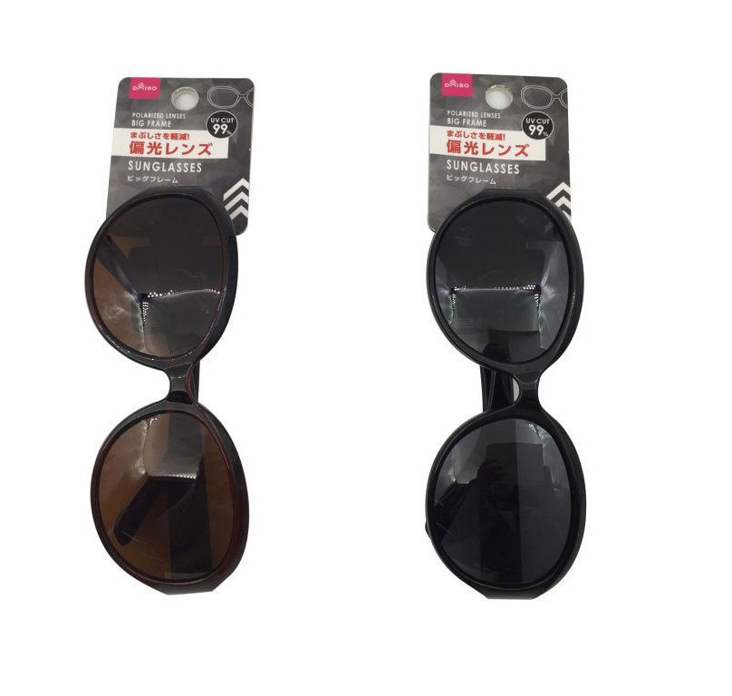 Polarized Sunglasses, Assorted (1 pc)