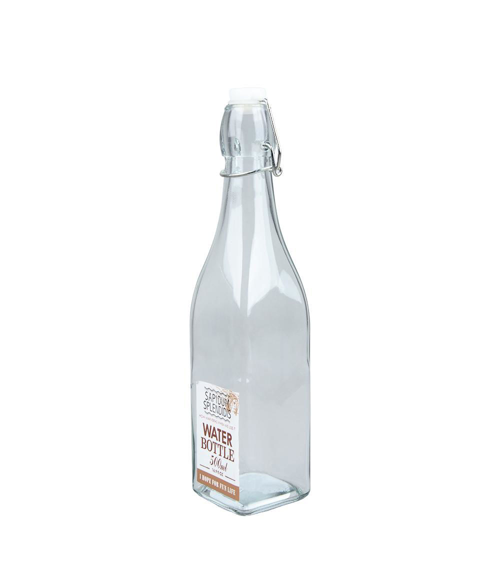 Glass Water Bottle with Swing-Top Cap, Clear (500 ml)