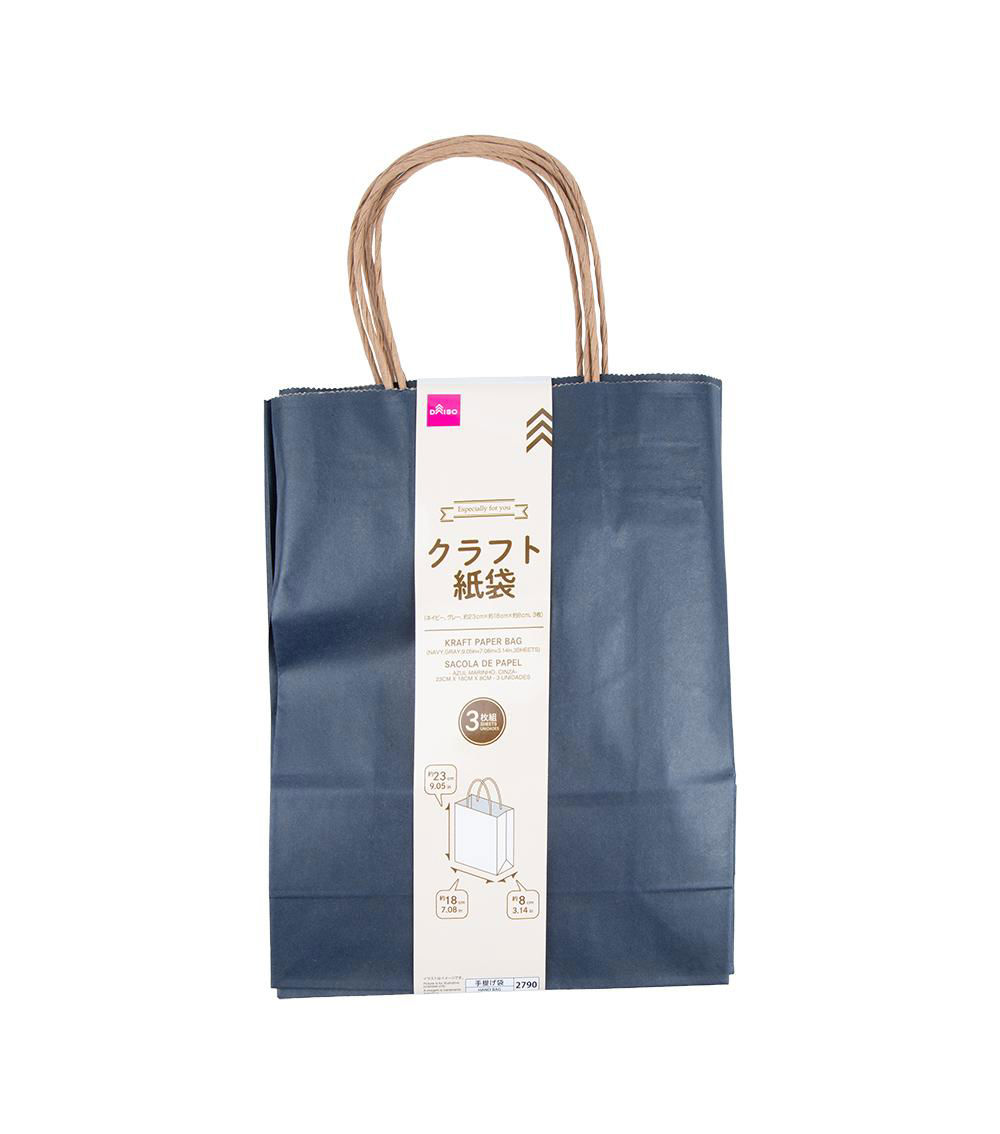 Kraft Paper Bags with Handles, Assorted (3 Sheets) - 23cm