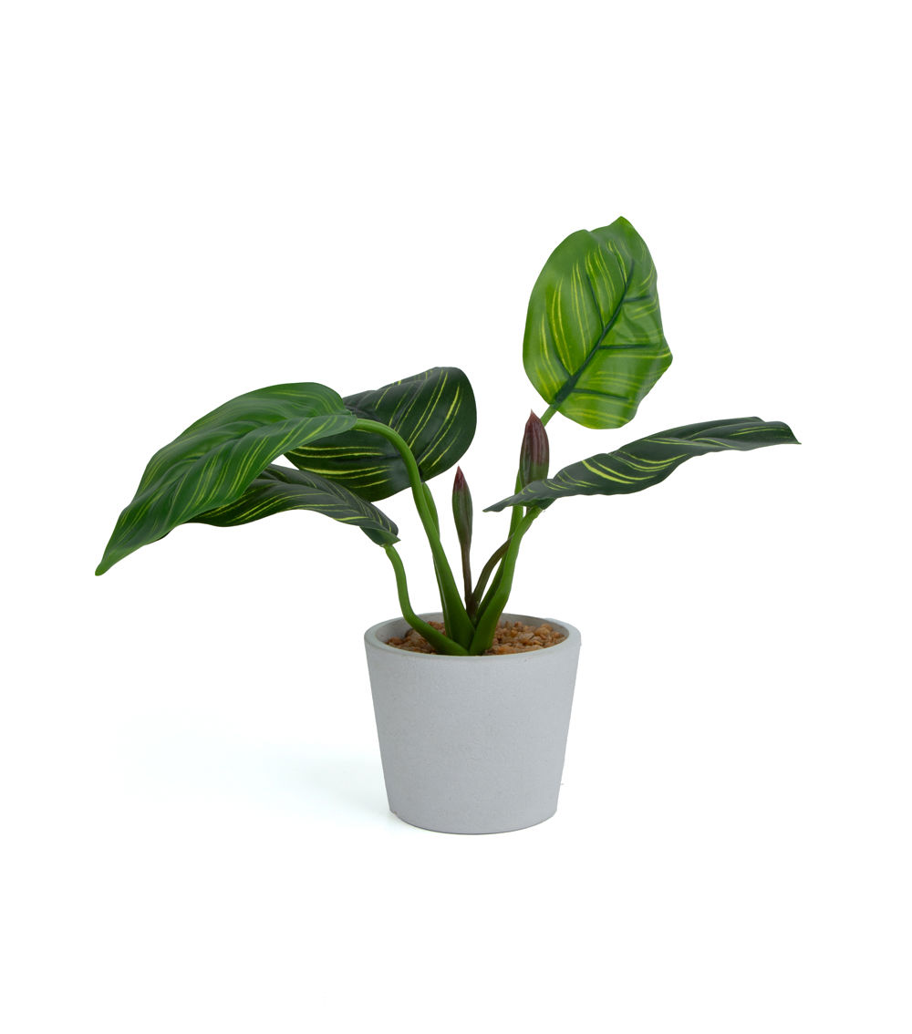 Leaf Pot, Light Green