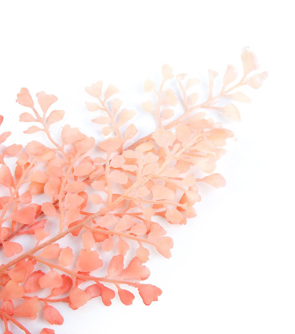 Color Asian Tam Pick, Assorted