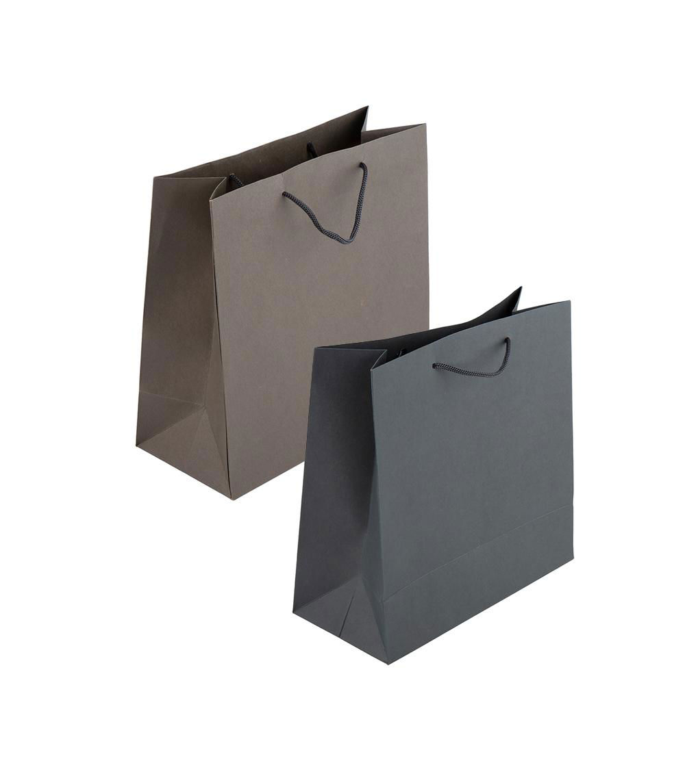 GIFT BAG SIMPLE(10.62IN X 10.43IN X 4.72IN-27CM X 26.5CM X 1