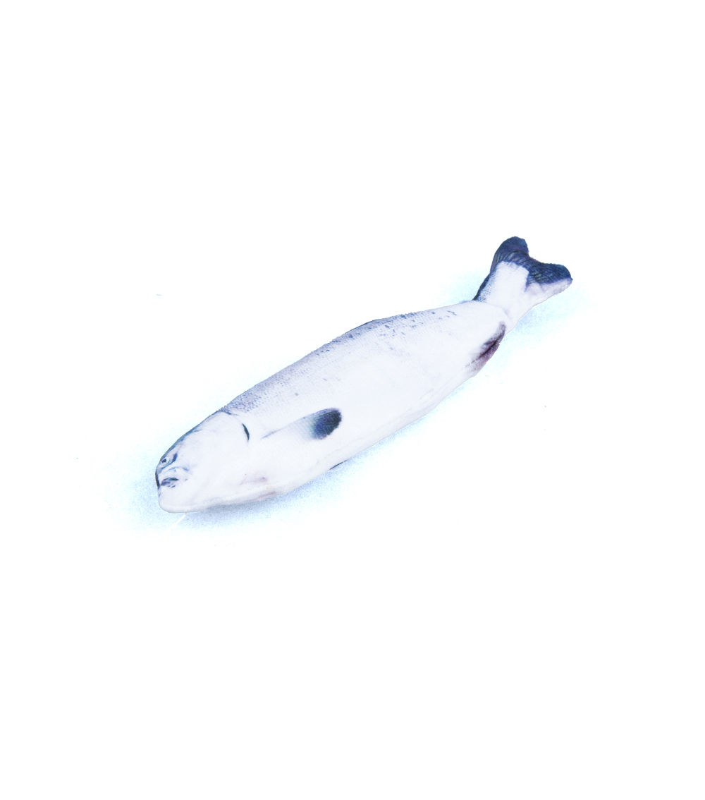Fish Soft Toy for Cats