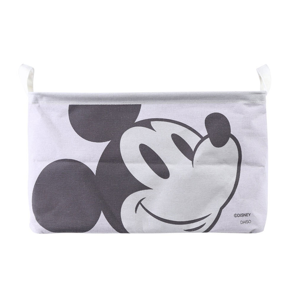Mickey and Minnie Fabric Storage Box, Assorted (1 pc)