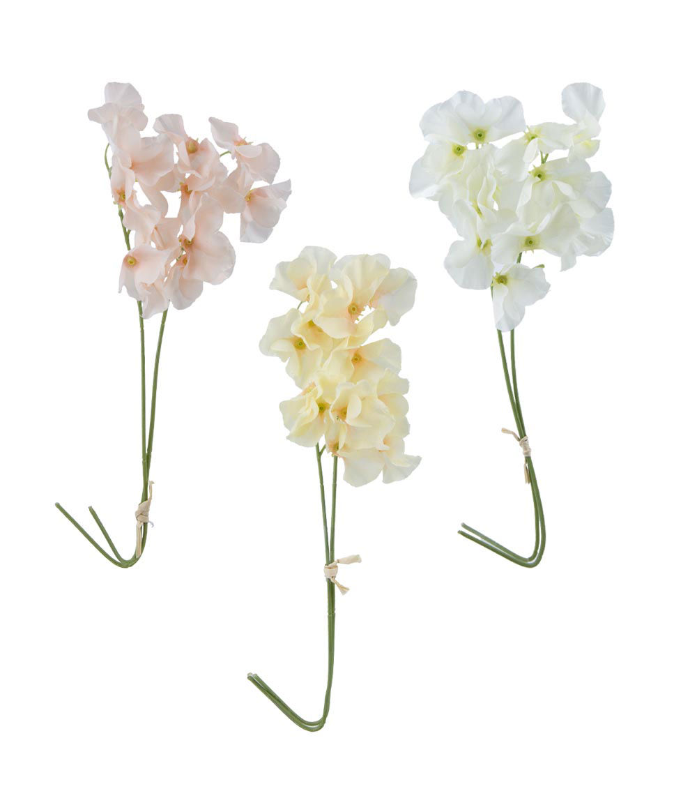 Sweet Pea Flower, Assorted (1 pc)