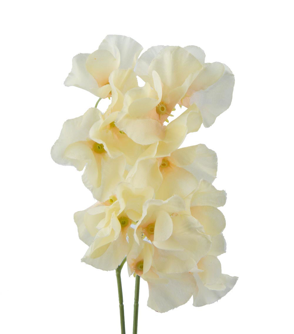 Sweet Pea Flower, Assorted (1 pc)