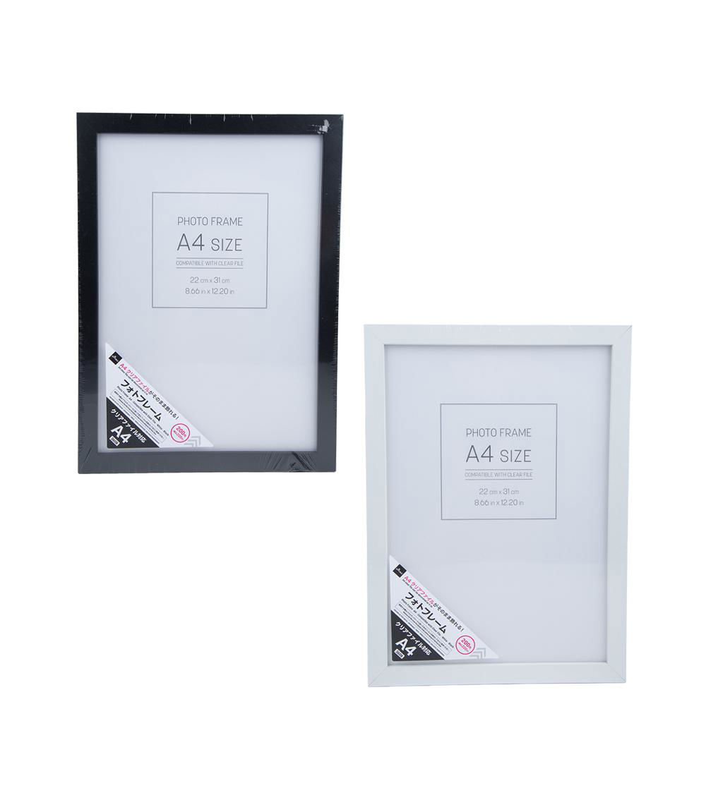 A4 Photo Frame With Clear File, Assorted (1 pc)