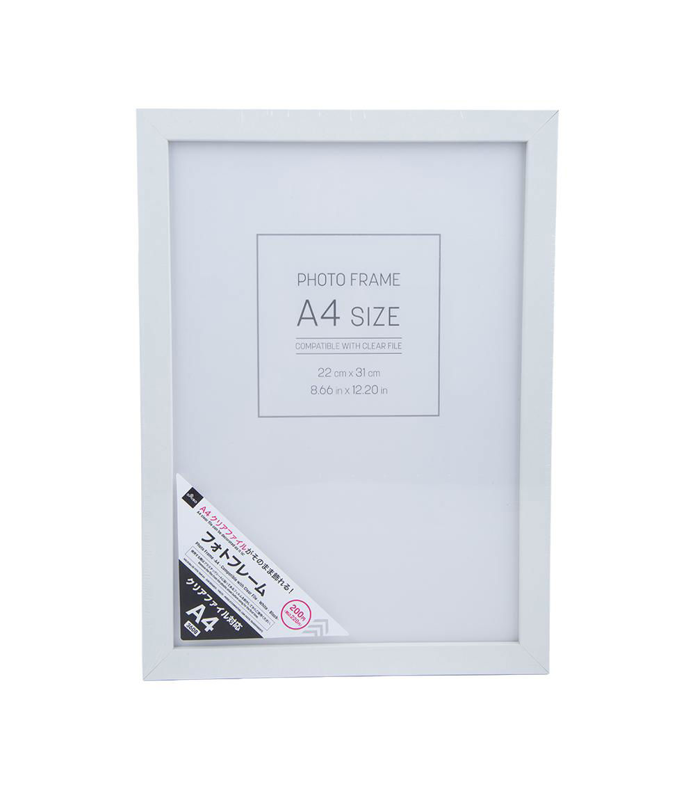 A4 Photo Frame With Clear File, Assorted (1 pc)