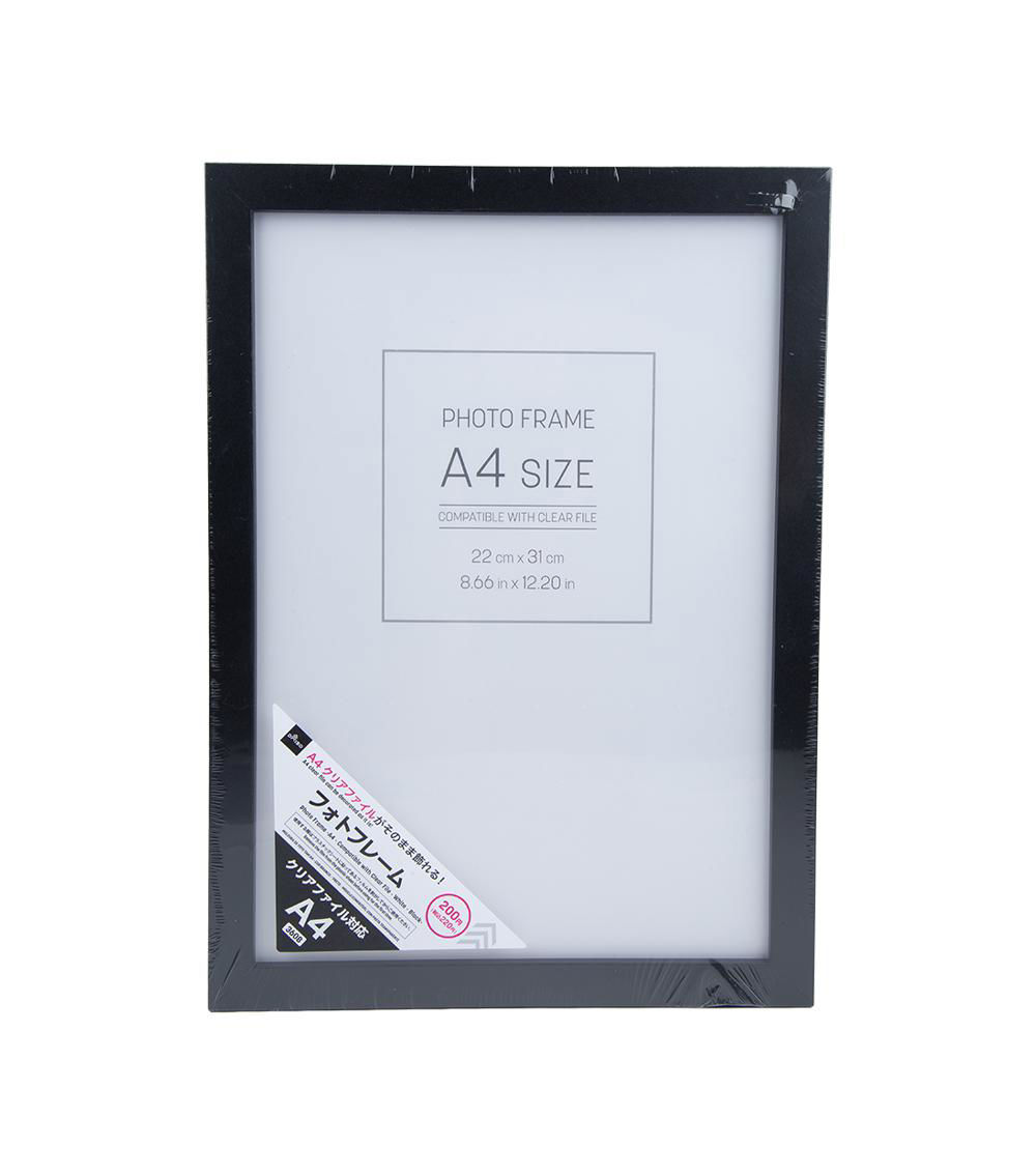 A4 Photo Frame With Clear File, Assorted (1 pc)