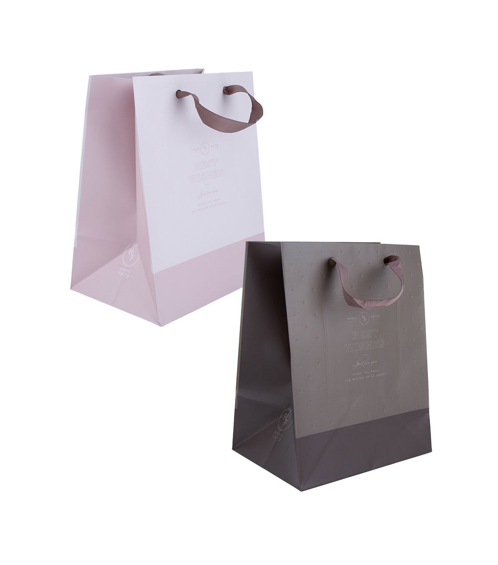 Basic Paper Bag, Assorted (1 pc) -18cm x 23cm x 13cm
