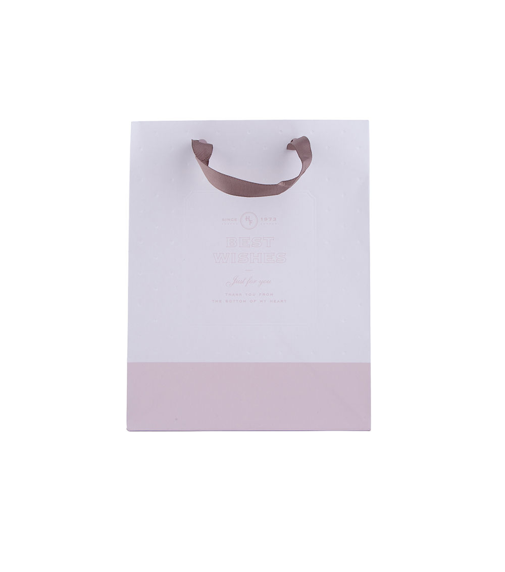 Basic Paper Bag, Assorted (1 pc) -18cm x 23cm x 13cm