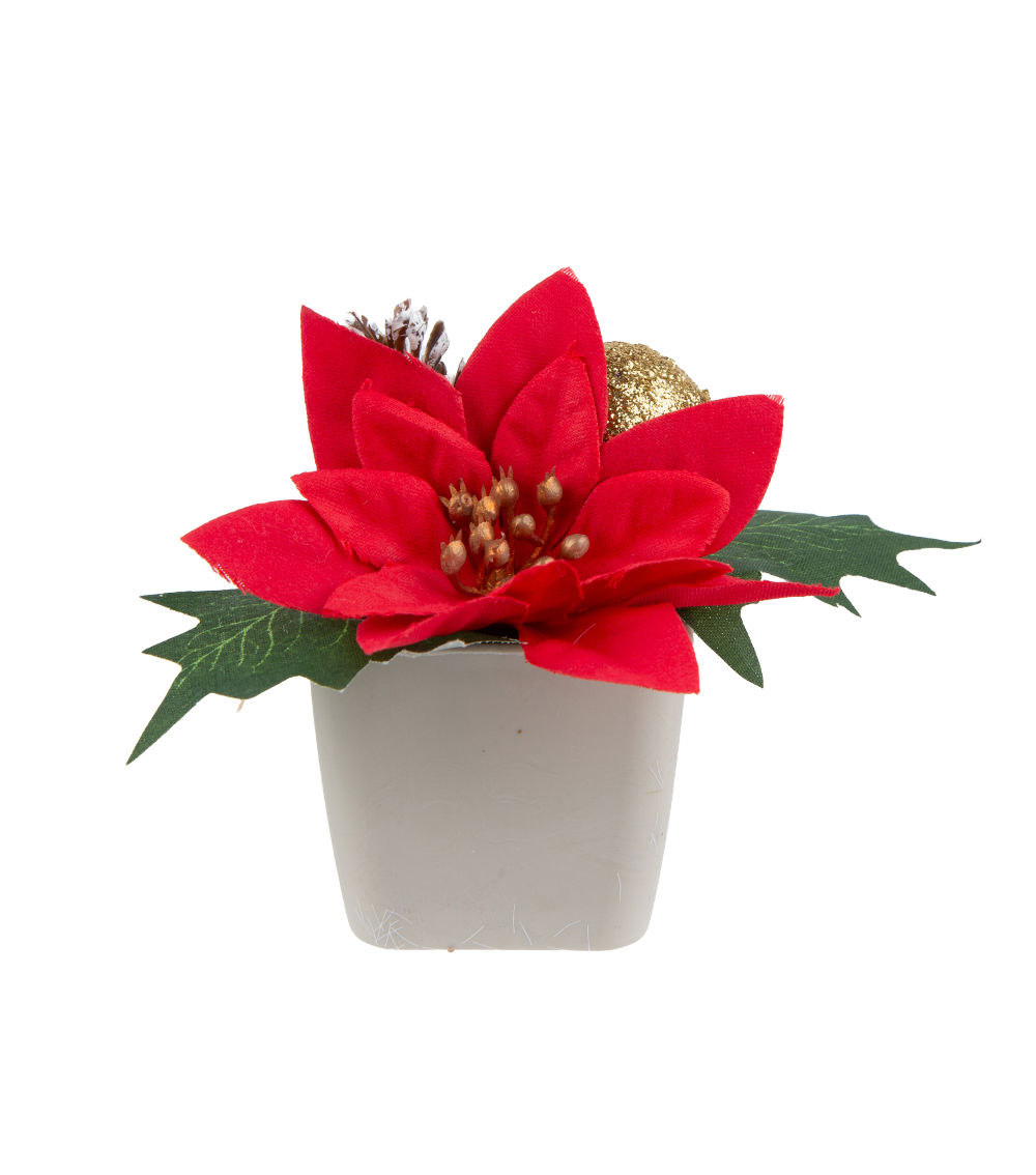 Poinsettia Pot – Assorted (1 pc)