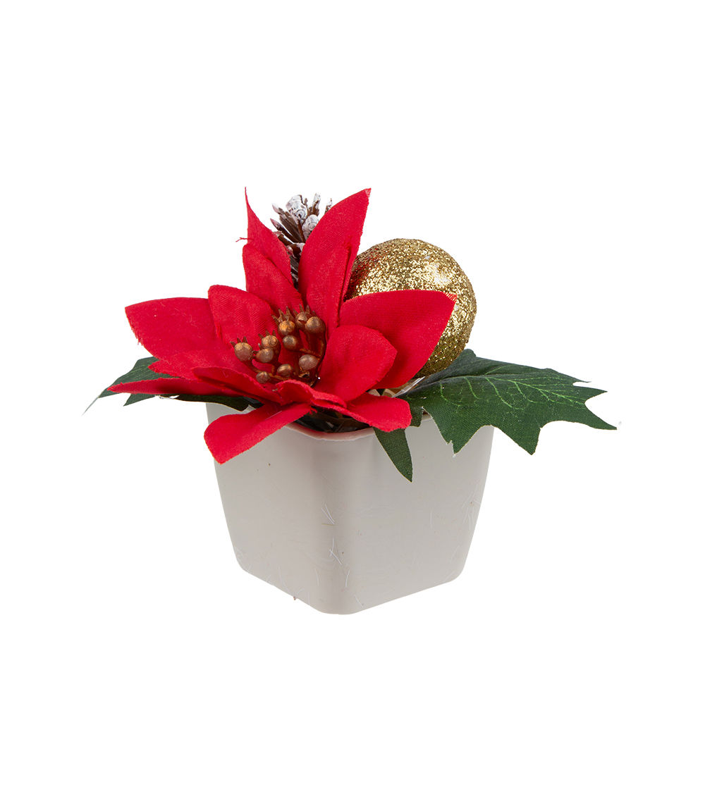 Poinsettia Pot – Assorted (1 pc)