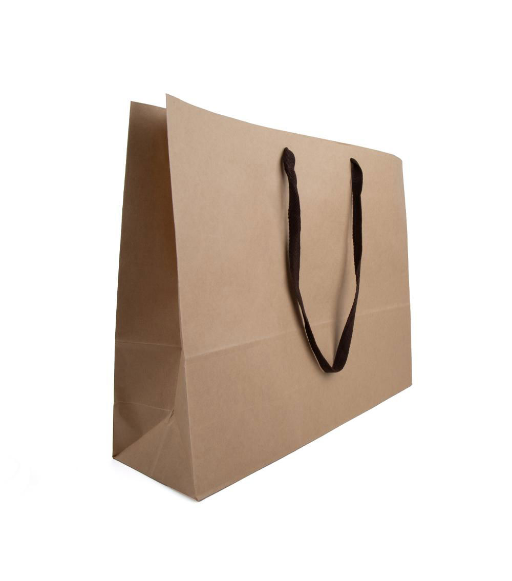 Shoulder Type Kraft Paper Bag, Brown (1 pc)