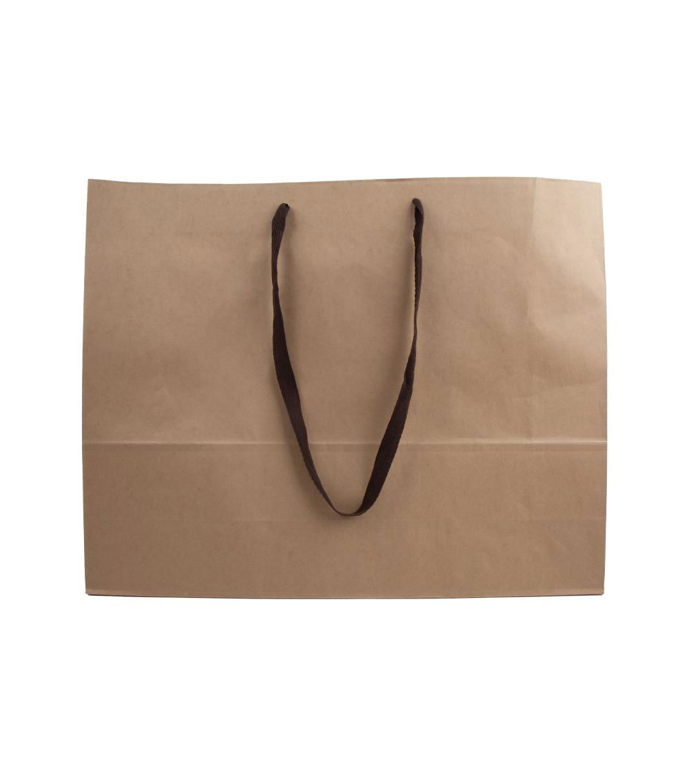 Shoulder Type Kraft Paper Bag, Brown (1 pc)